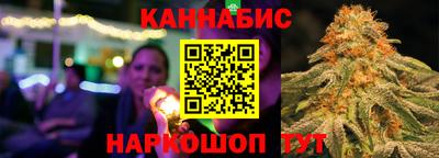 индика Кандалакша