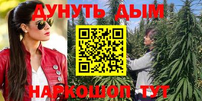 индика Кандалакша