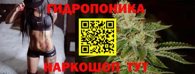 индика Кандалакша