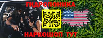 индика Кандалакша