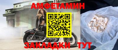индика Кандалакша