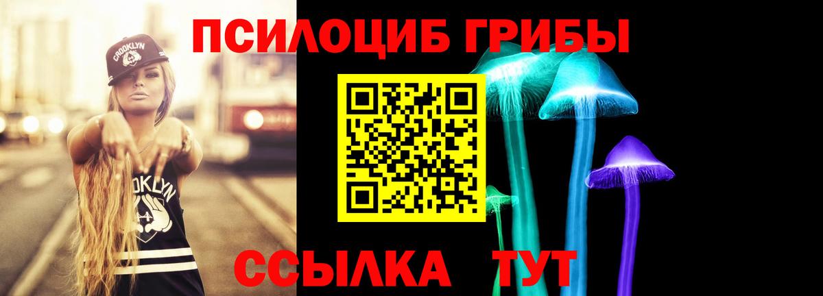 Галлюциногенные грибы Cubensis  Вход с VPN  Кубинка 